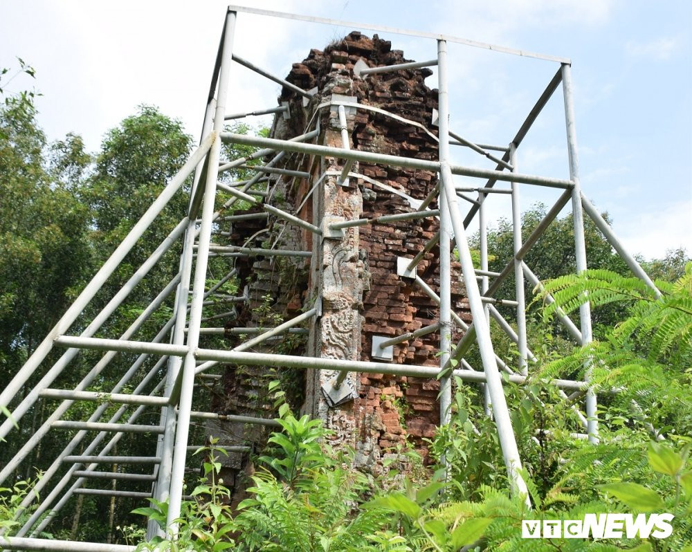 1-phat-vien-dong-duong-1-3-0948551