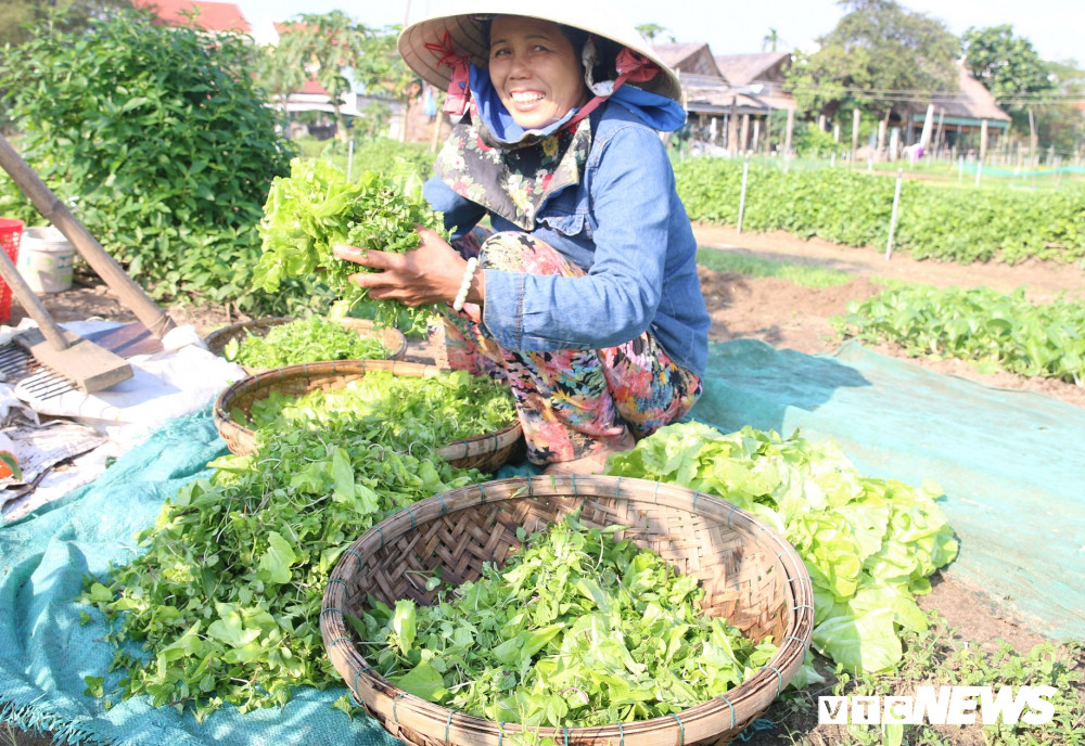 3-rau-Tra-Que (127) 3