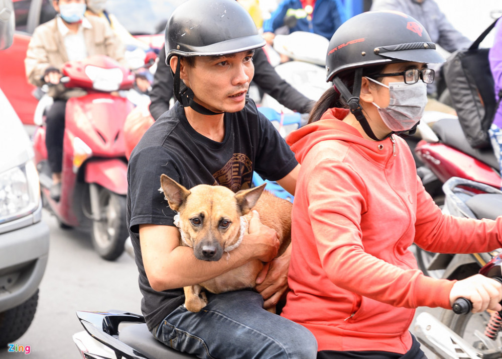 letangnghesixuanhieu (2)