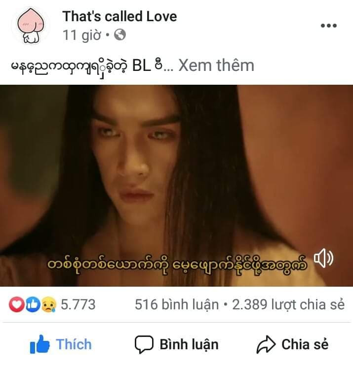 nguyentrantrungquan (3)