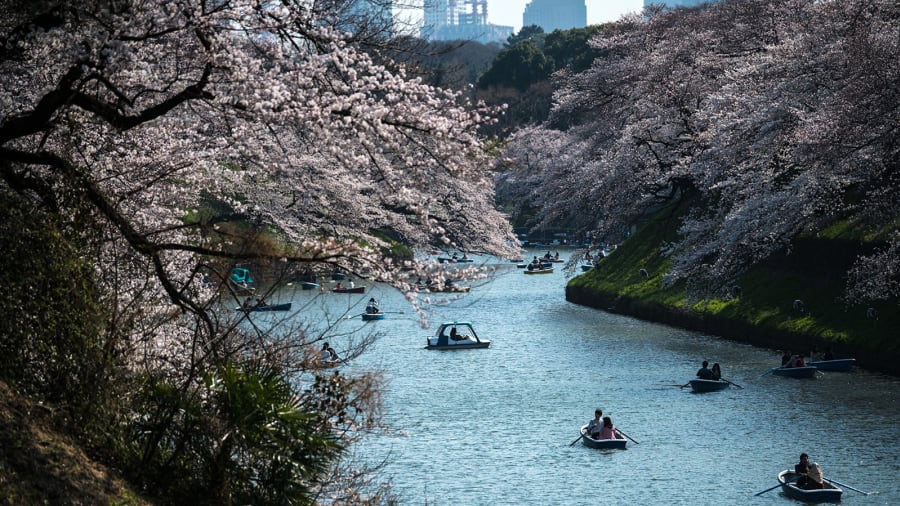 tokyo10jpg 10