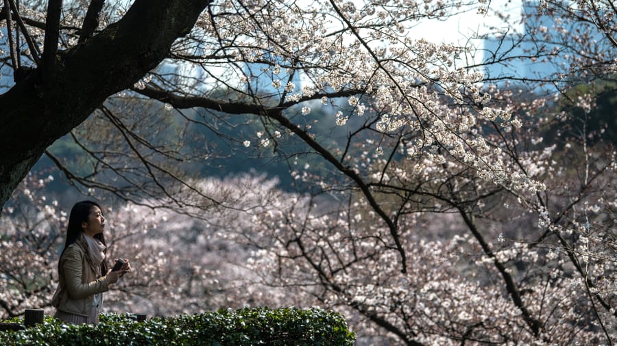 tokyo9 9