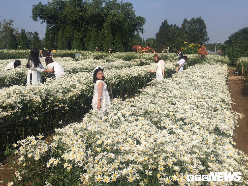 73515674_575014199902344_6455404144457940992_n 7