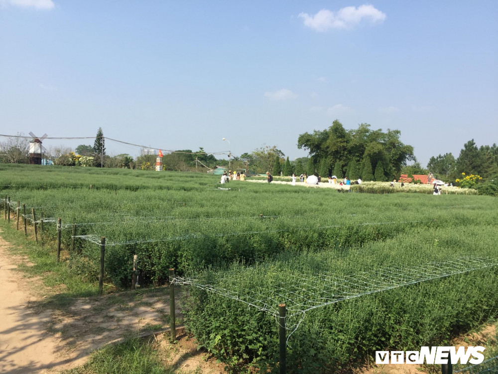 74982578_1005949209745913_2303601199493939200_n (1) 10