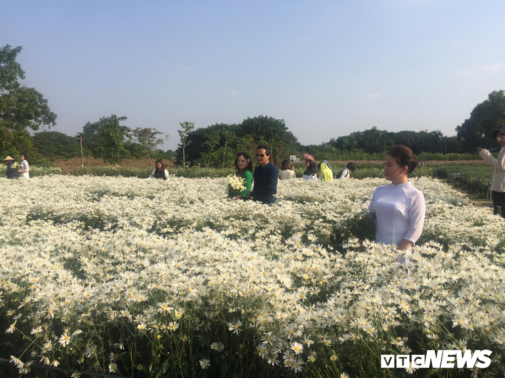 75210124_544410499438599_7941516047813705728_n 8