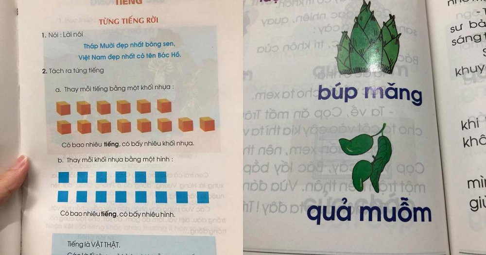 binh-thuan-cam-trien-khai-day-sach-giao-khoa-lop-1-cong-nghe-giao-duc-cua-giao-su-ho-ngoc-dai-59f42-3360308_default 3