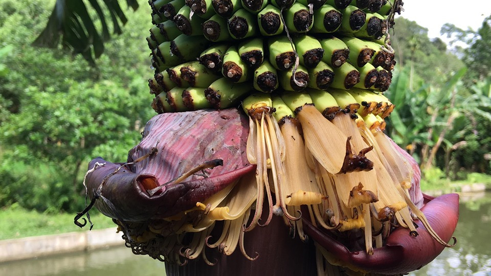 72585716_2261982120743458_252904837077794816_n