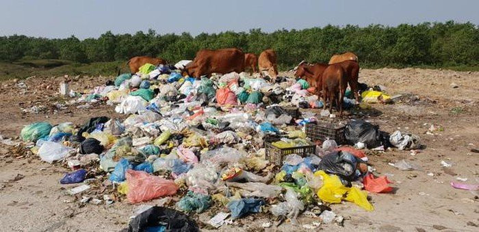 ca17823074709d2ec461 6