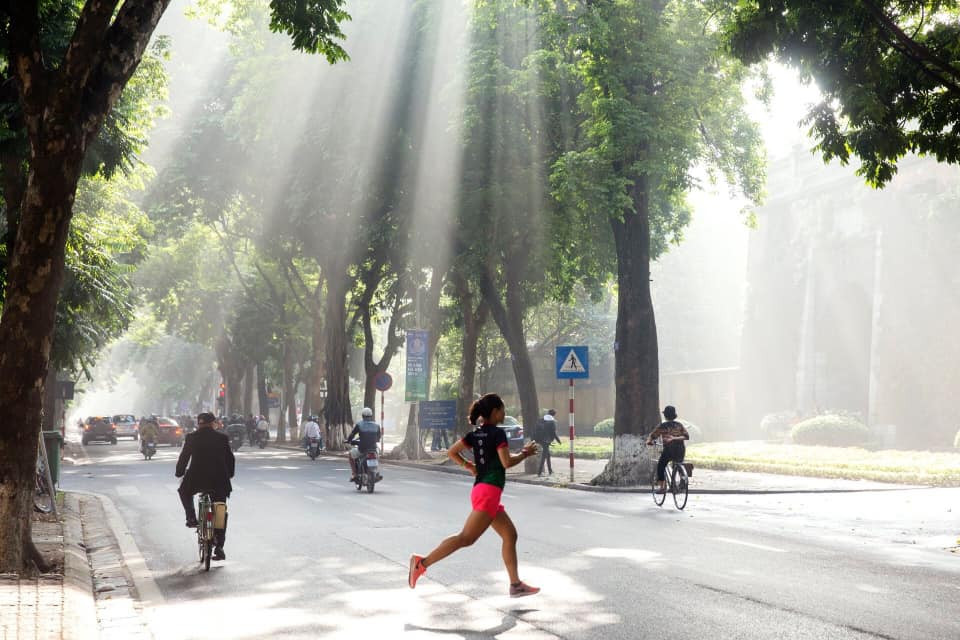 71817931_136419217719671_3292919741869457408_n