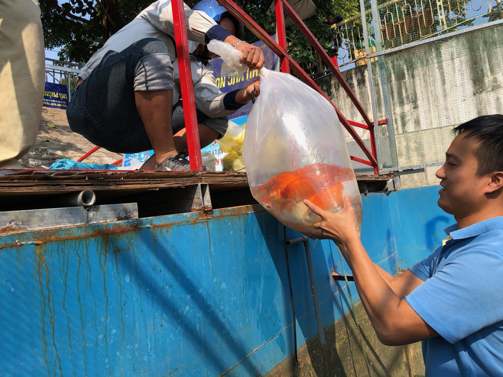 4.Anh chuyen ca Koi tai song To Lich sang Ho tay ngay 9.11.2019