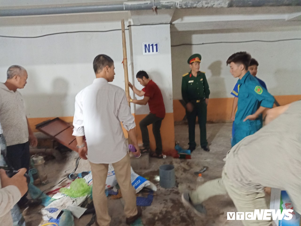 linh-dam (4)