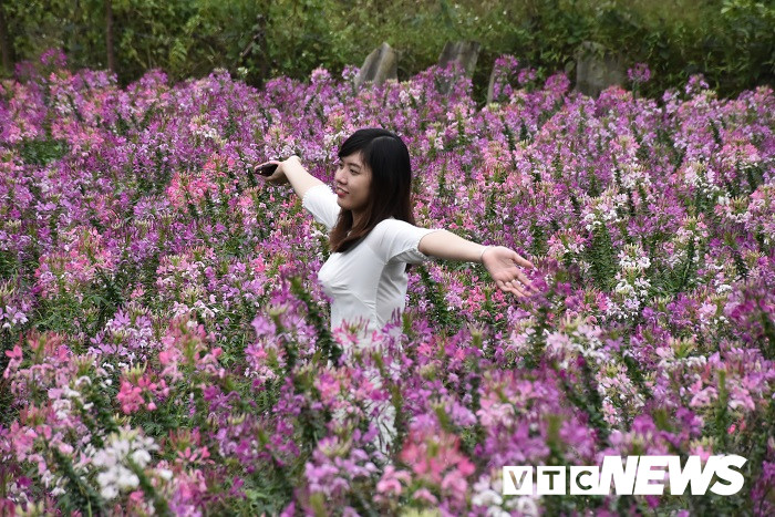 thung lung hoa yen tu10 8