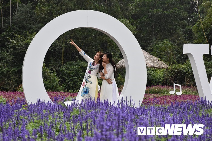 thung lung hoa yen tu11 10