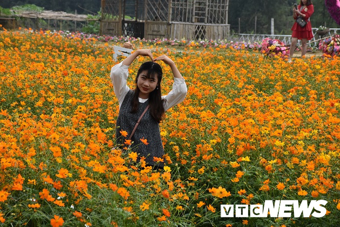 thung lung hoa yen tu16 13