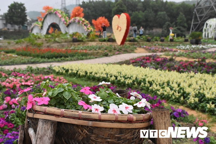 thung lung hoa yen tu18 16