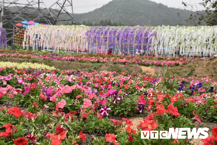 thung lung hoa yen tu19 16