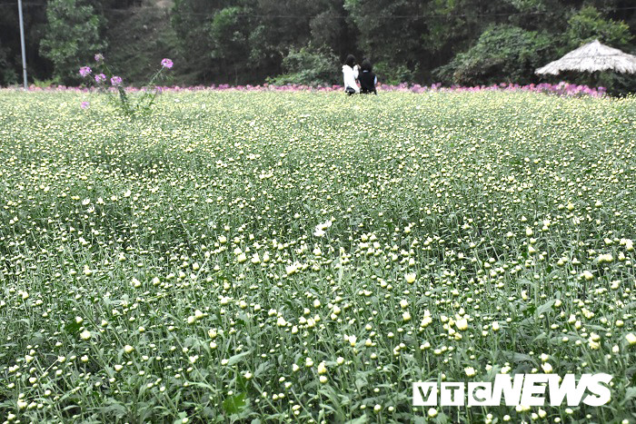 thung lung hoa yen tu21 19