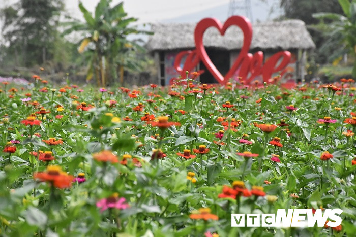 thung lung hoa yen tu22 19