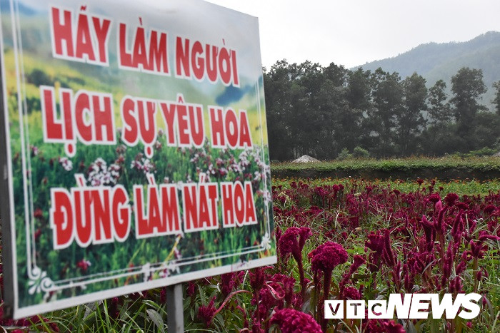 thung lung hoa yen tu24 21