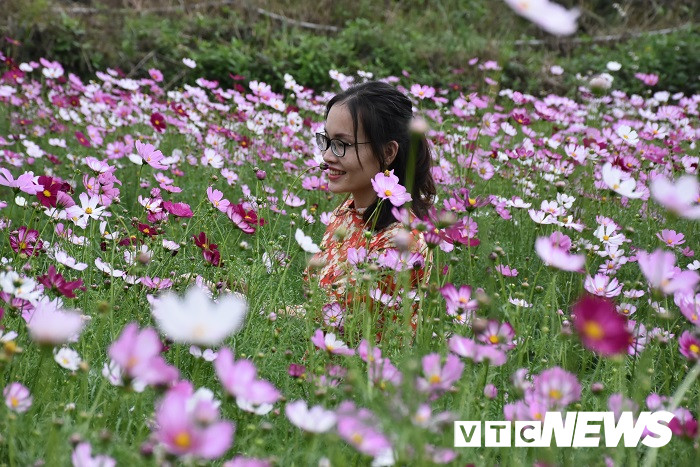 thung lung hoa yen tu7 5