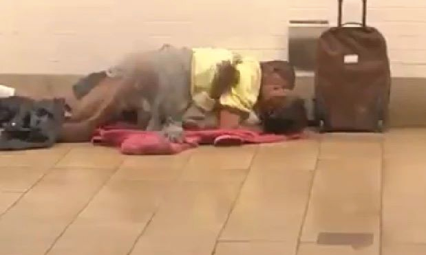 Screen Shot 2019-12-05 at 2.00.32 PM