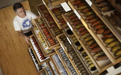 thoi-tiet-am-len-khien-chim-nho-dan-di_5114788 3