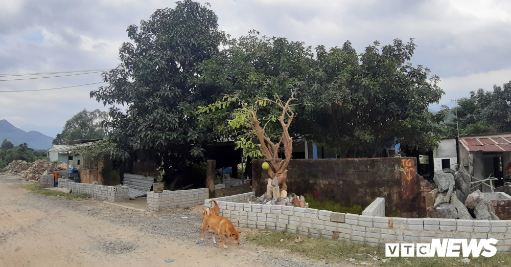 Anh-nha-trai-phep 1 5