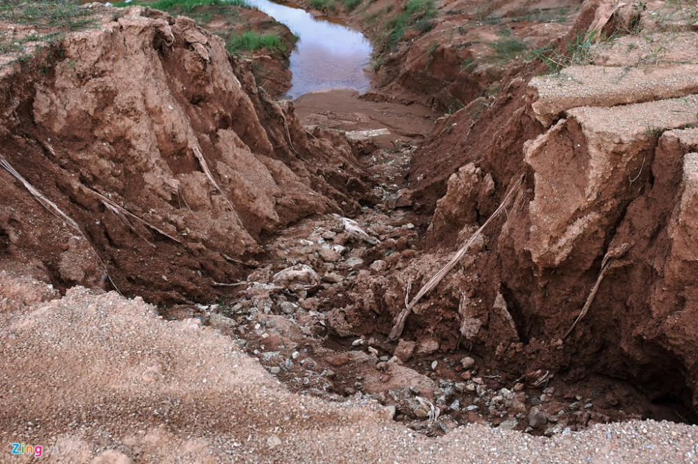 Anh_11__gui_zing_1 10