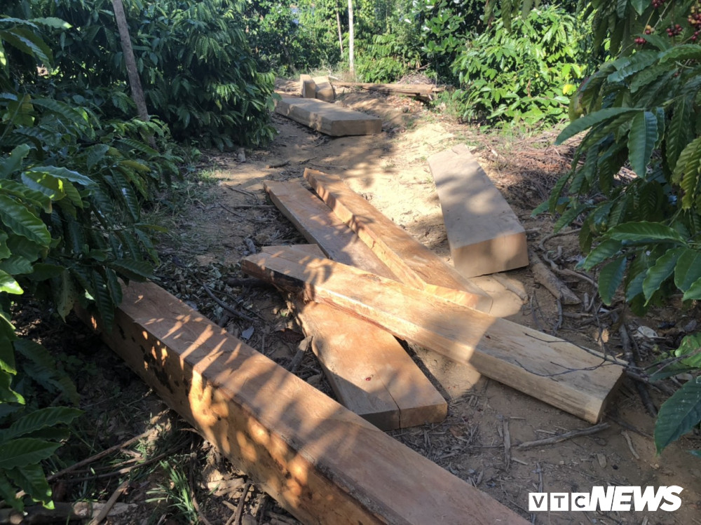 dak-lak232-0113092 11