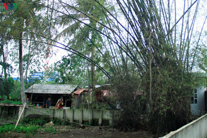 vov_dan_vay_nha_may_thep_3_ftyu 3