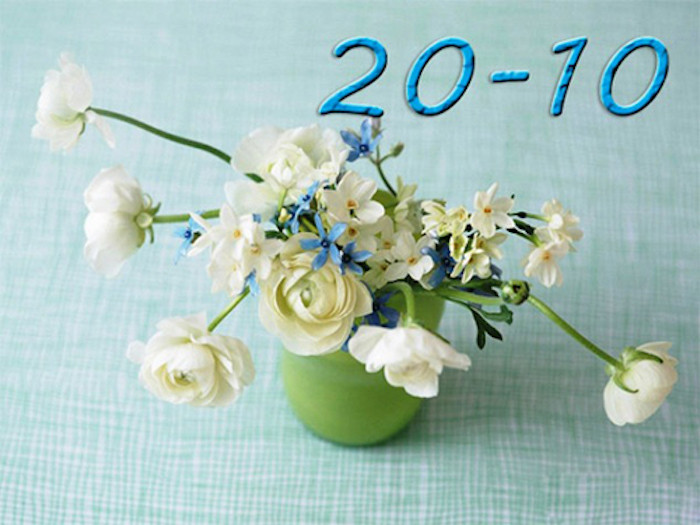 thiep-chuc-mung-quoc-te-phu-nu-Viet-Nam-20-10-1257fc59c611449 5