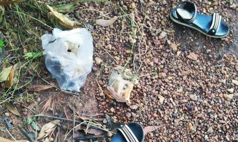 72779214-550787342363118-1821330007704731648-n_829_497_367