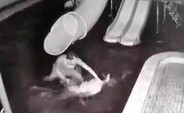 1569234661-7181-bbe6341d715d9803c14c