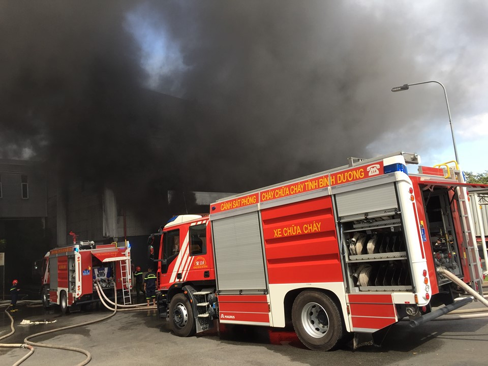 78035950_424652808440061_2253693061039128576_n 5