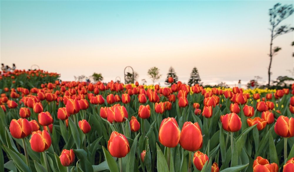 anh 1- Sun World Ba Na Hills