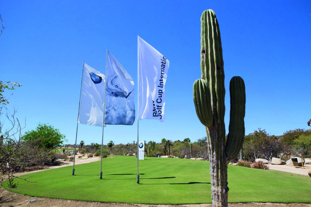 finedata_cmyk_A0277328 6