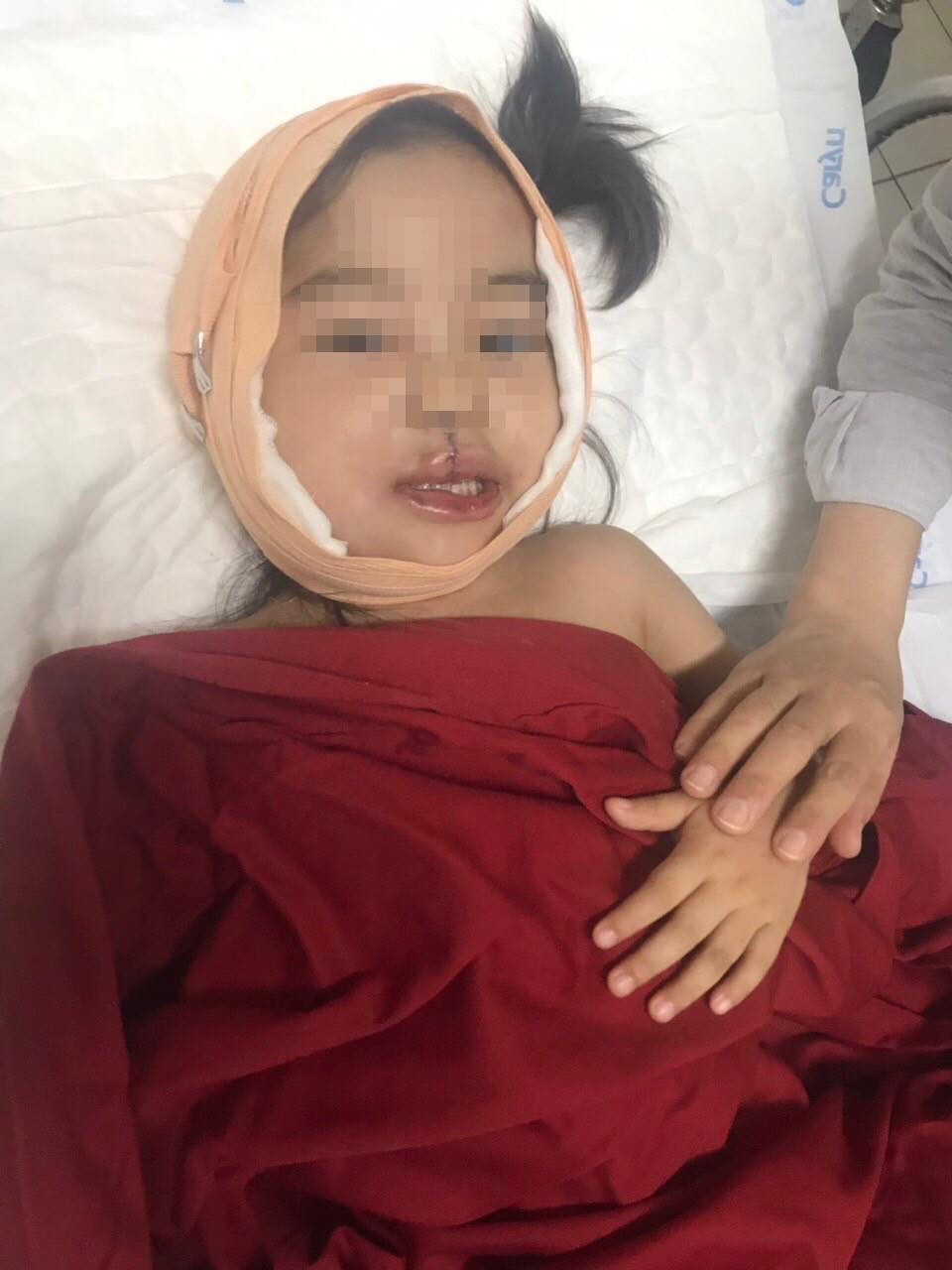 75539958_568760717268076_6071343659133960192_n