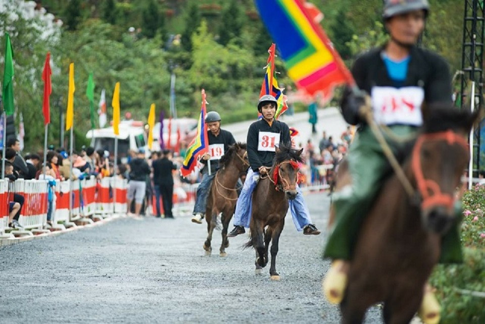 sac mau van hoa tay bac 6