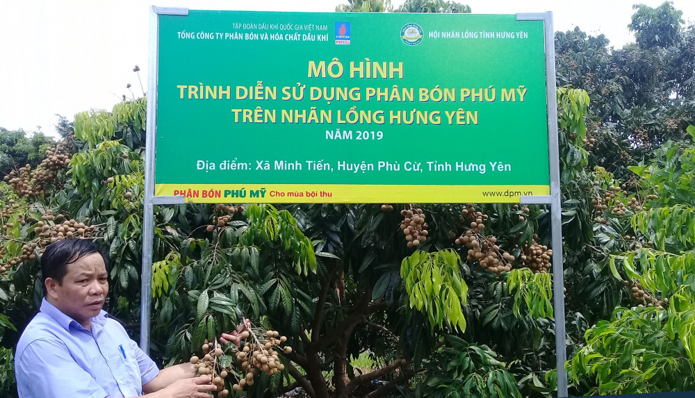 phan bon phu my 5