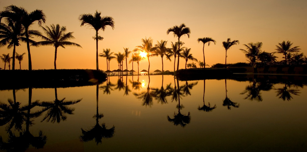 79116422_503927663665882_4263370892345606144_n