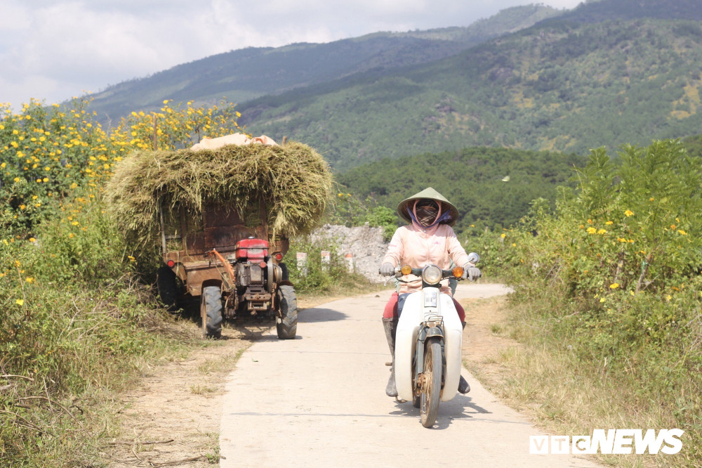 mua-gat10-13-1332520 13