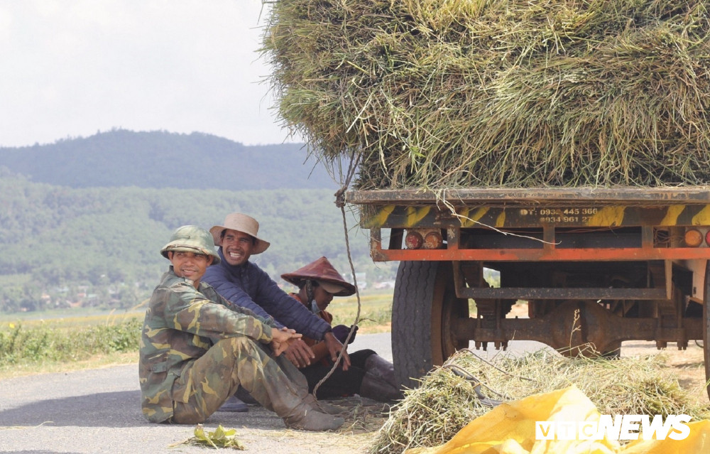 mua-gat11-15-13344710 14