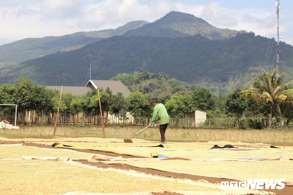 mua-gat13-17-1336407 16