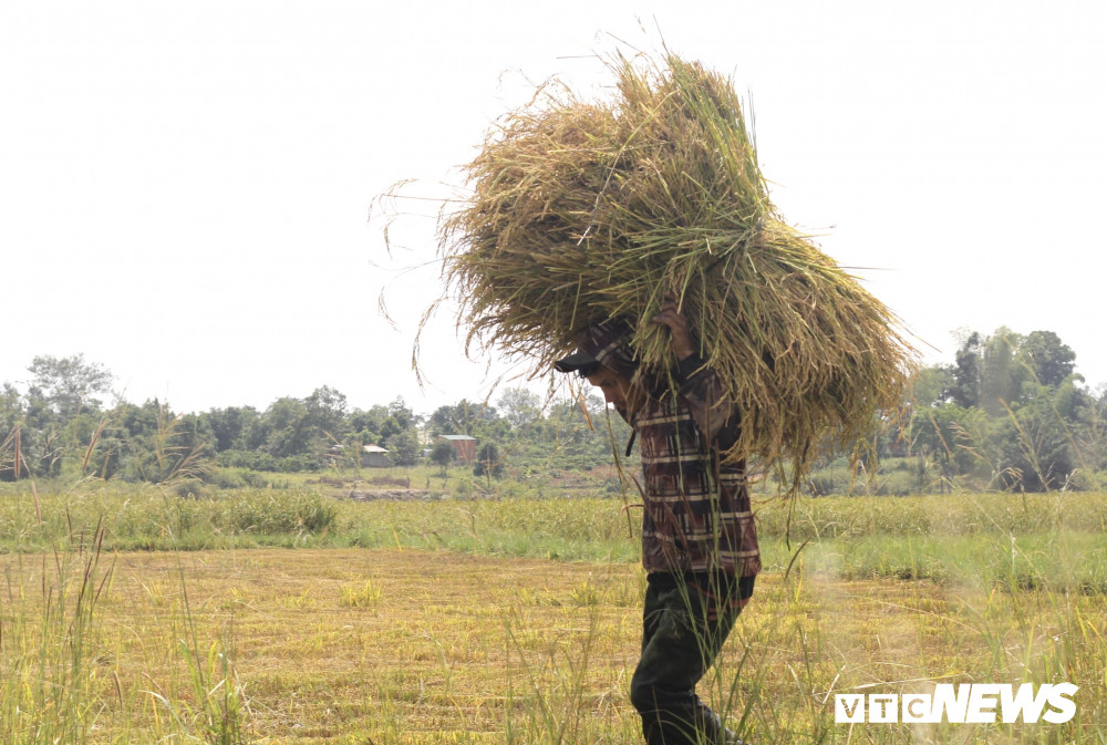 mua-gat3-5-1321448 6