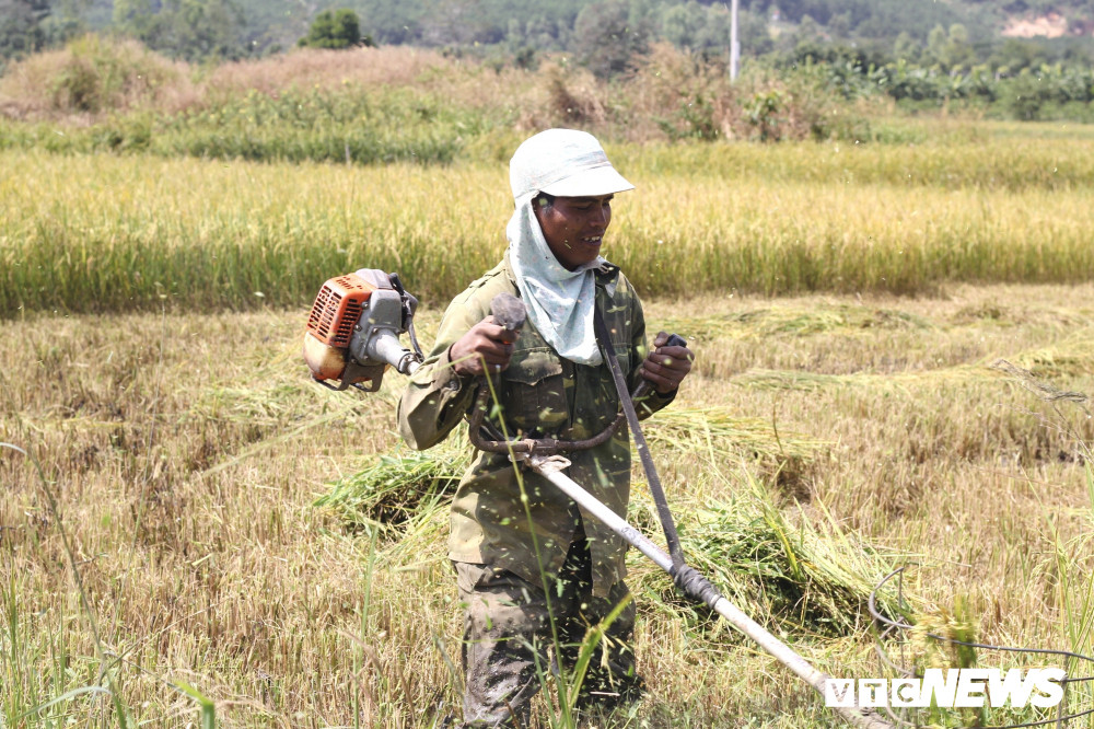 mua-gat4-6-1322405 7