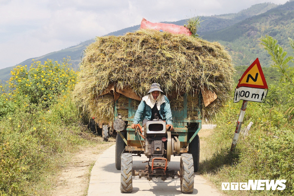 mua-gat7-10-1328282 10