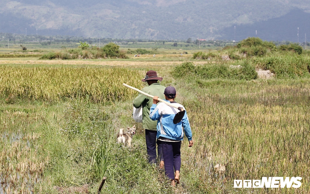 mua-gat8-11-1329375 11