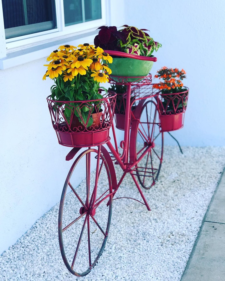 70749797_2481025828610582_5816475201663139840_n 10