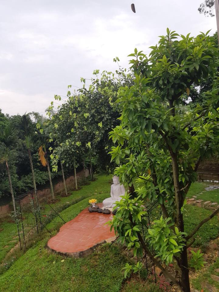 39216153_2293524183997370_1599024592112844800_n 7