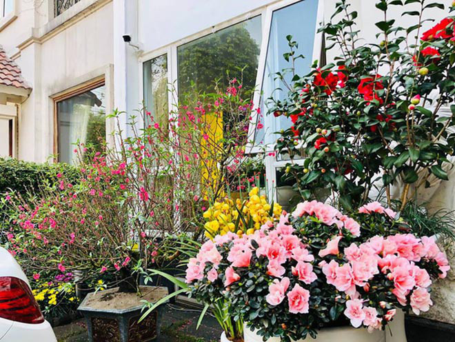 Cuộc sống giàu có, thích nịnh vợ của người đàn ông quyền lực VTV6 - Ảnh 6.